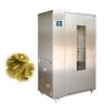 Industrial Fruit and Vegetable Washing/Cleaning Equipment