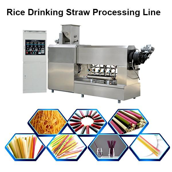 Customized Multi Color New Degradable Rice Drinking Straw Processing Line